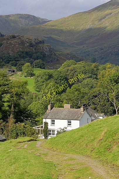 Photo 6"x4" Cornclose Lane Green Quarter c2010
