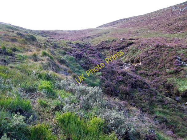 Photo 6"x4" Confluence of streams above Lindsay's Leap Newcastle\/J3732 c2010
