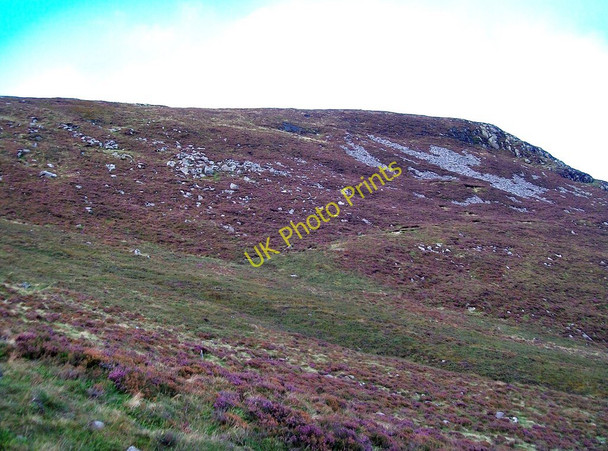 Photo 6"x4" The eastern slopes of Thomas's Mountain Newcastle\/J3732 c2010