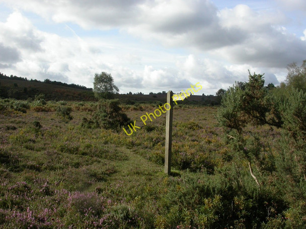 Photo 6"x4" Linwood, signpost Linwood\/SU1809 c2010