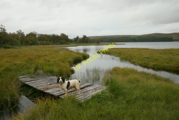 Photo 6"x4" A burn on the southern shore of Loch Naver Altnaharra c2010
