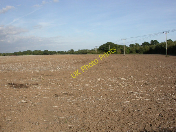 Photo 6"x4" Walkford, stubble field Walkford c2010