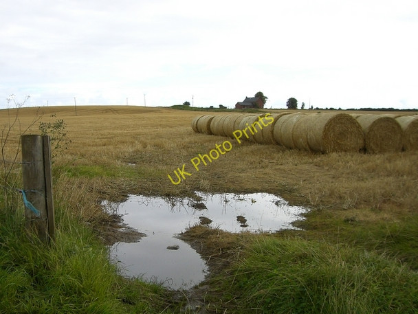 Photo 6"x4" Stubble field near hill of Fearn Fearn c2009