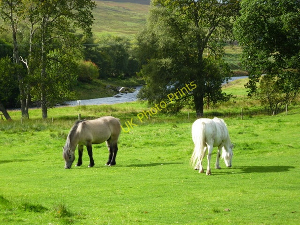 Photo 6"x4" River Cassley at Rosehall Rosehall\/NC4602 c2010