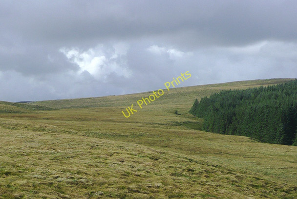 Photo 6"x4" Moorland and forest by Esgair Gelli, Ceredigion Nant y Gerwyn c2010