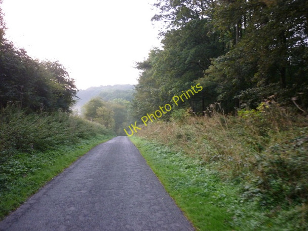 Photo 6"x4" Croxby Pond Plantation Beelsby c2010