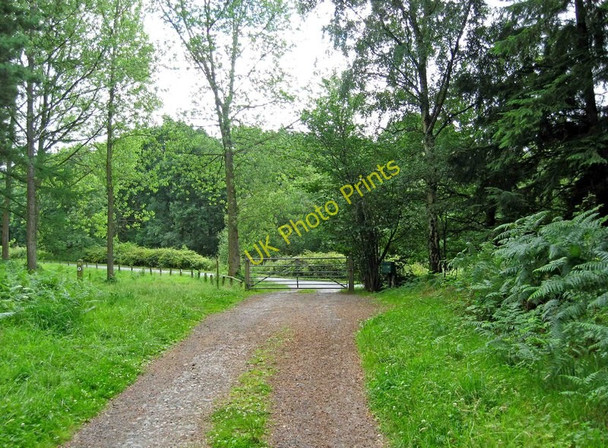 Photo 6"x4" Junction of private road and public road, by Eymore Wood Holbeache c2010