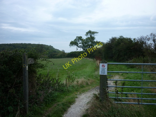 Photo 6"x4" A Bridleway off Trunkass Lane Beelsby c2010