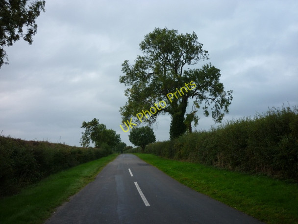 Photo 6"x4" The Road to Beelsby Beelsby c2010