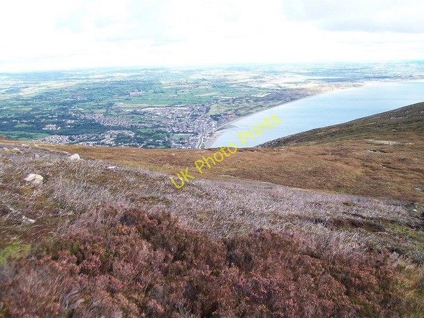 Photo 6"x4" Burnt heather on the slopes of Thomas's Mountain Newcastle\/J3732 c2010