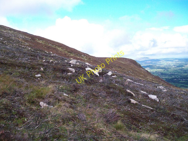 Photo 6"x4" More evidence of the moorland fire on Thomas's Mountain Newcastle\/J3732 c2010