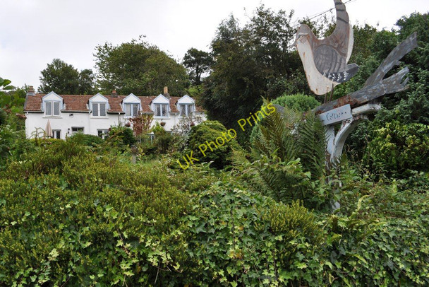 Photo 6"x4" Jenny Wren's Cottage, Knowle Knowle\/SS4938 c2010