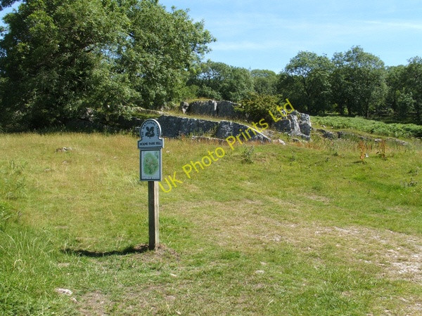 Photo 6"x4" Holme Park Fell Holme\/SD5278 c2006