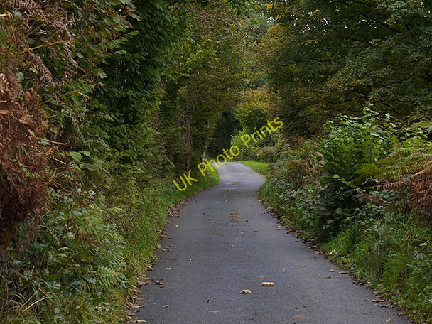 Photo 6"x4" Minor road past Ty-newydd Ffarmers c2010
