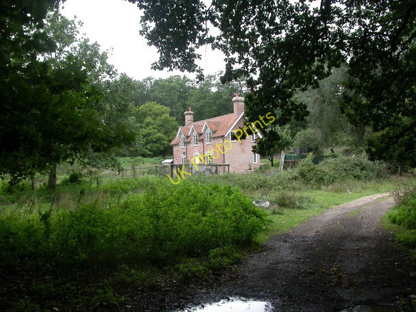 Photo 6"x4" Hamptworth, gamekeeper's cottage Bohemia\/SU2019 c2010