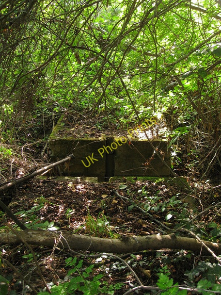 Photo 6"x4" Old Sluice Gate Shermanbury c2010