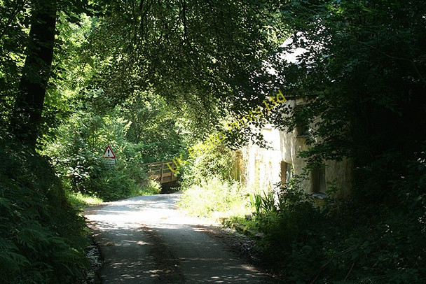 Photo 6"x4" Inwardleigh: Toad Island Okehampton c2006