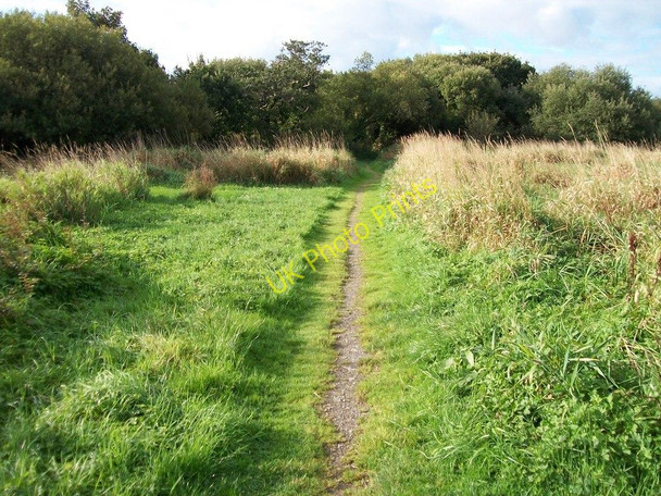 Photo 6"x4" Path through the riverine marsh towards the Pwllheli Golf Club Pwllheli c2010