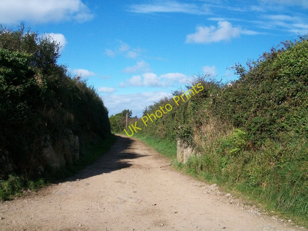 Photo 6"x4" The Berthaur farm access road Penllech\/SH2234 c2010