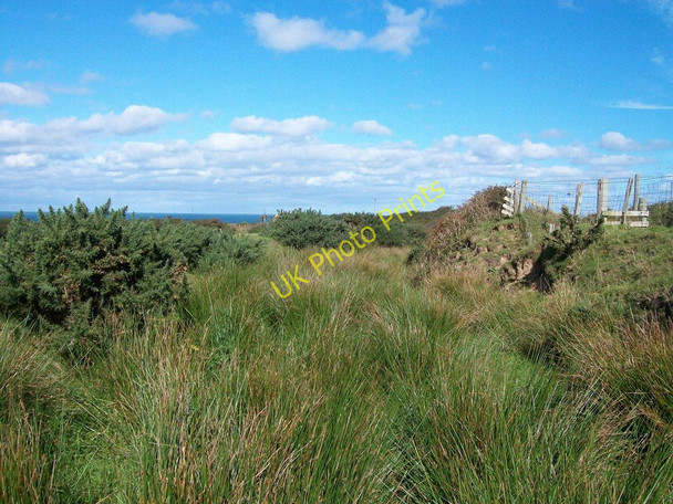 Photo 6"x4" Reedy path to the sea beyond Ty-llwyd Llangwnnadl c2010