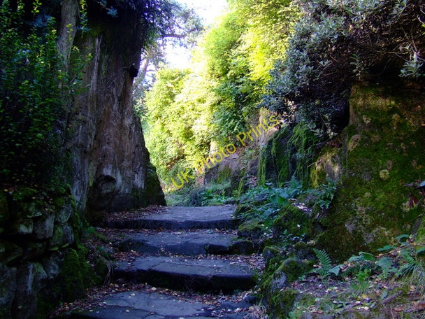 Photo 6"x4" The Fossil Grove Jordonhill c2010 P1