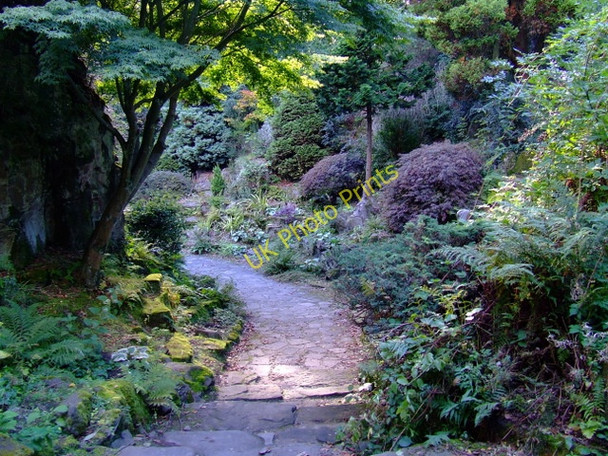 Photo 6"x4" The Fossil Grove Jordonhill c2010