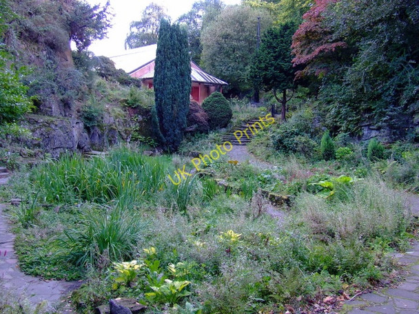 Photo 6"x4" The Fossil Grove Jordonhill c2010 P2