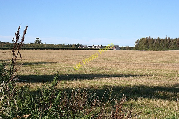 Photo 6"x4" Orchardfield from Surradale Newton\/NJ1663 c2010