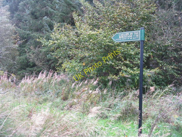 Photo 6"x4" Footpath to Carlops Glenbrock c2010