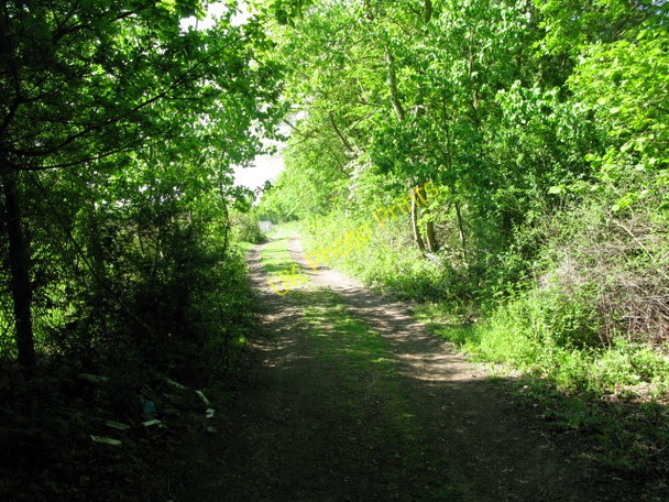 Photo 6"x4" Footpath between the A257 and Bekesbourne Lane Bekesbourne Hill c2010