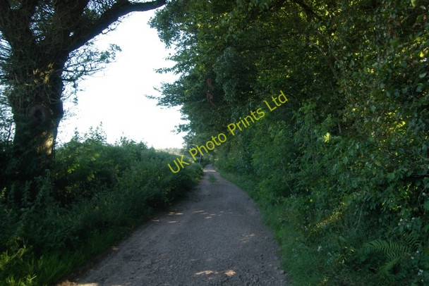 Photo 6"x4" East Devon Way, near White Cross, Ottery St Mary Coombe\/SY1091 c2006
