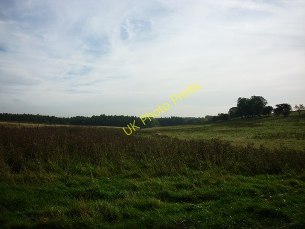 Photo 6"x4" Looking towards Goodrick Plantation Alwoodley Park c2010
