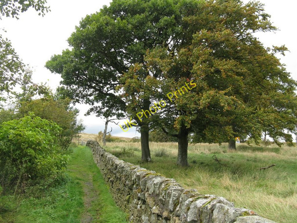 Photo 6"x4" Drove road meets A-road Little Vantage c2010