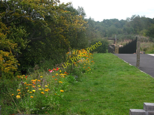 Photo 6"x4" Railway Station Flowers Blaenavon c2010