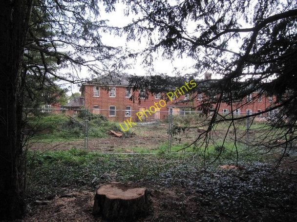 Photo 6"x4" View through the trees Cholsey c2010