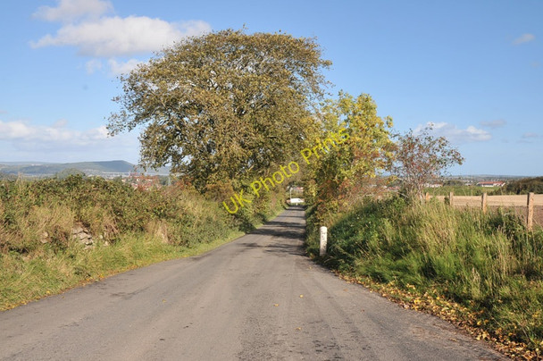 Photo 6"x4" Road from Essich to Inverness Lochardil c2010 P1