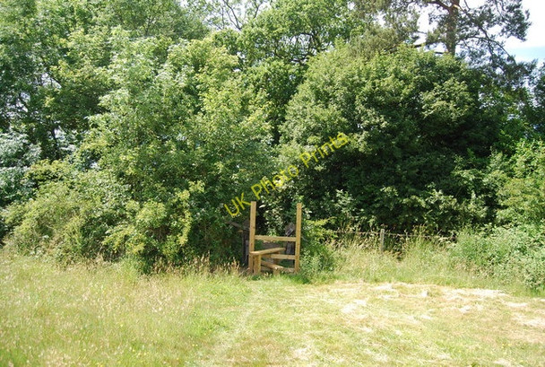 Photo 6"x4" Stile, How Green How Green c2010