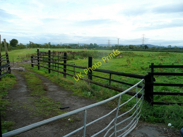 Photo 6"x4" Maisemore Ham Gloucester c2010