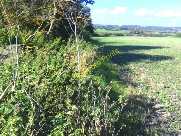 Photo 6"x4" Down Hill: trig point, hedge and planted field Didcot c2010