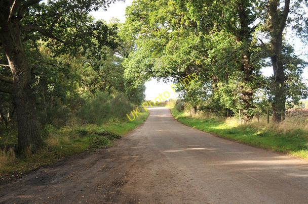 Photo 6"x4" Road from Dyke to the A96 Dyke\/NH9858 c2010