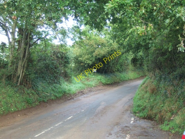 Photo 6"x4" The lane to Mersley Farms from Knighton Lane Arreton c2010