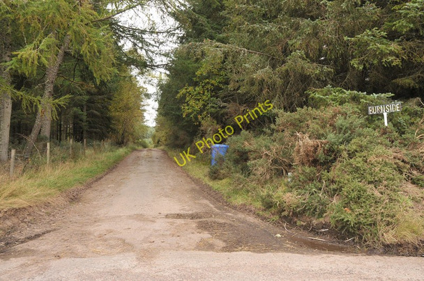 Photo 6"x4" Farm road to Burnside Raddery c2010