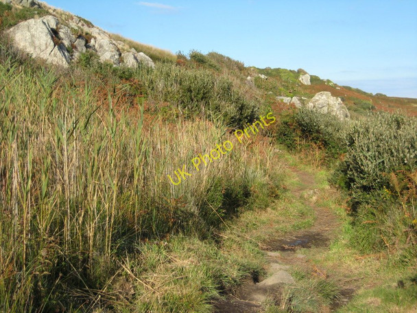 Photo 6"x4" Coast path north of Coverack Coverack c2010