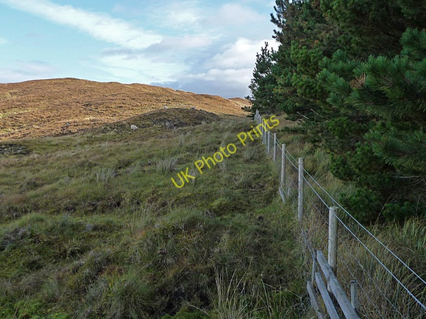 Photo 6"x4" The edge of Braigh an Uird Forest Teangue\/An Teanga c2010