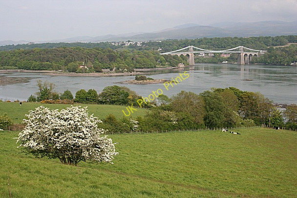 Photo 6"x4" Pont Grog y Borth (Menai Suspension Bridge) Bangor\/SH5771 c2010