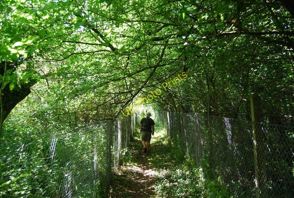 Photo 6"x4" A leafy footpath by the railway How Green c2010