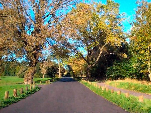 Photo 6"x4" Towneley Park, Deer Park Road Brownside\/SD8632 c2010