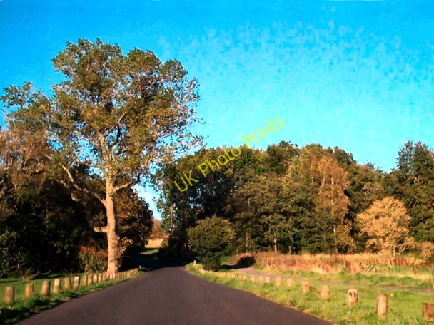 Photo 6"x4" Deer Park Road Brownside\/SD8632 c2010