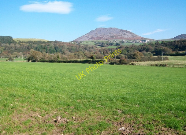 Photo 6"x4" Cultivated grass on the floor of the Llaniestyn gorge near Tyddyn-tor Llaniestyn c2010