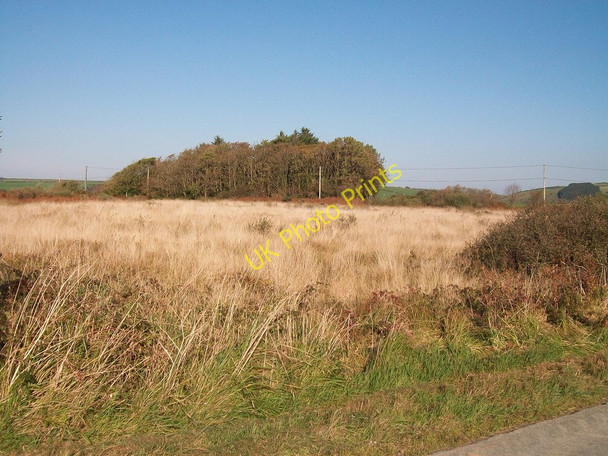 Photo 6"x4" The north-western section of the Rhos Botwnnog moor Botwnnog c2010